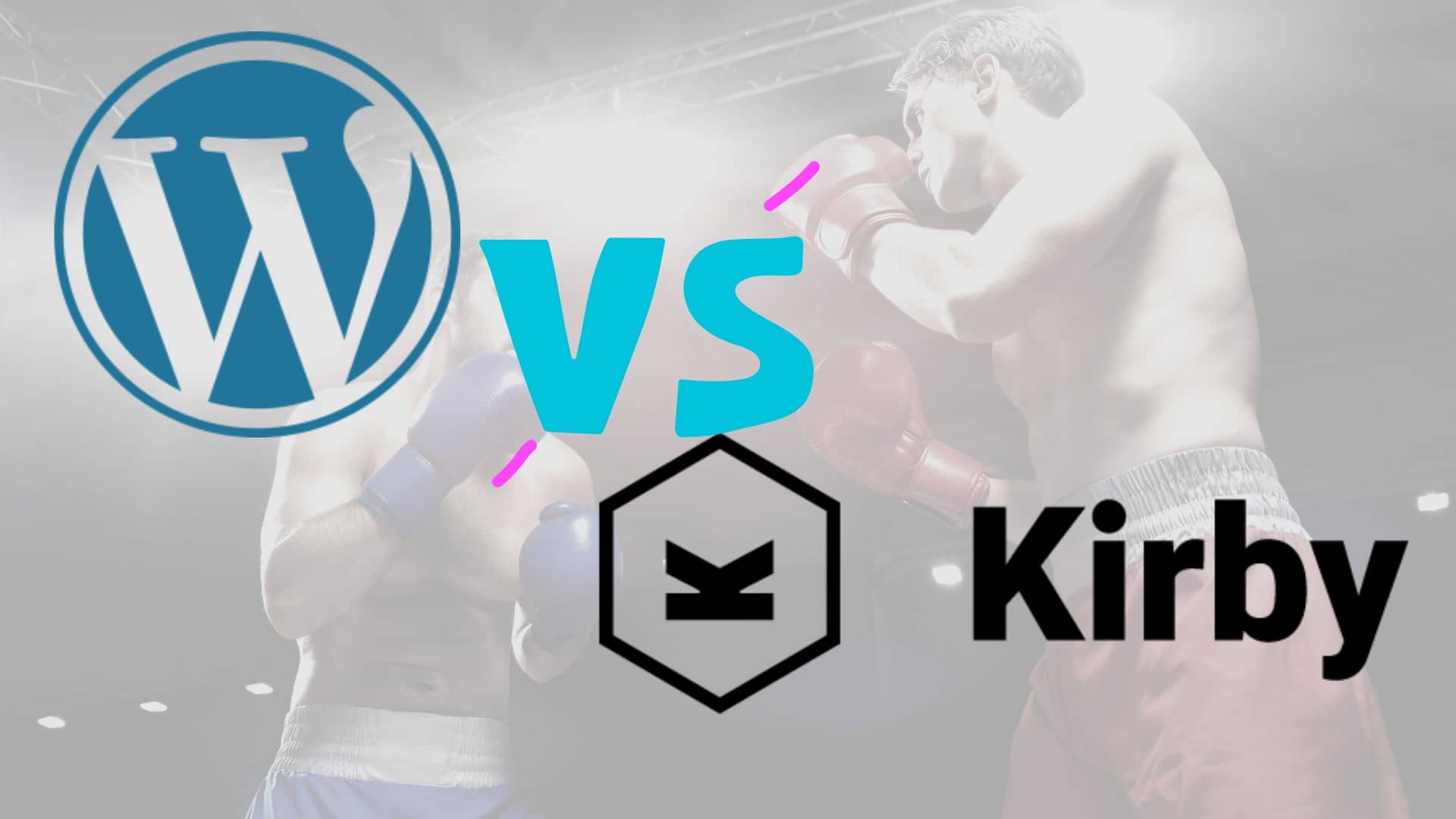 Kirby CMS vs. WordPress: Welches CMS ist das Beste für KMUs?